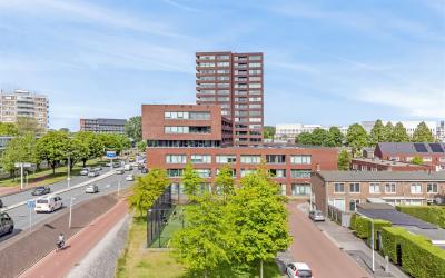 Koning Davi. 197