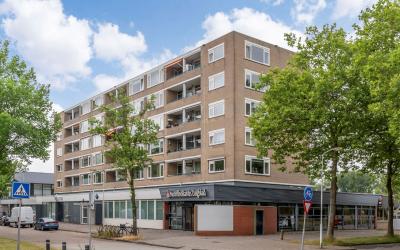 Spaansgroen. 4