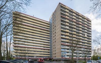 Oost-Dorsch 13