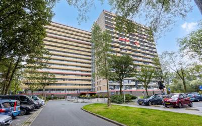 Oost-Dorsch 31