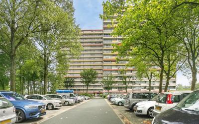 Oost-Dorsch 36