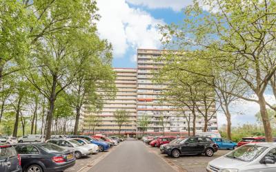 Oost-Dorsch 37