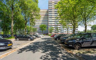 Oost-Dorsch 48