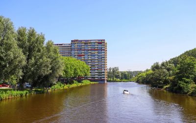 Oost-Dorsch 131