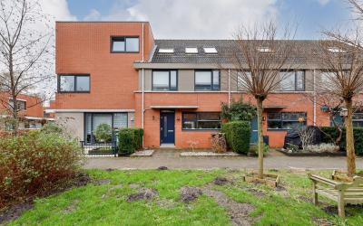 Muizenven 3