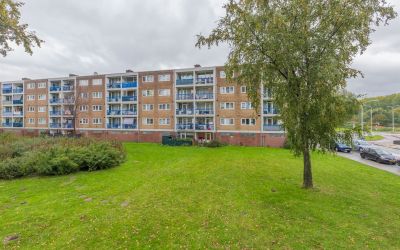 Poelenburg 457