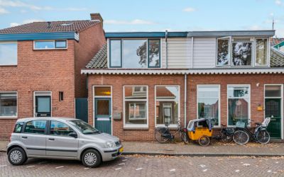 Zuiddijk 290