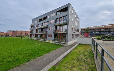 Oosterwerf 52
