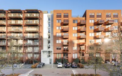 Vurehout 223