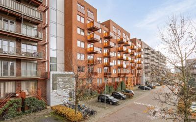 Vurehout 233