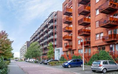 Vurehout 373