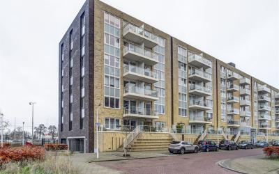 Vurehout 437