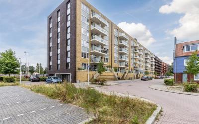 Vurehout 487