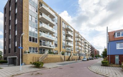 Vurehout 491