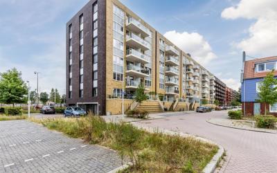 Vurehout 499