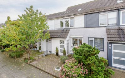Heintje Dav. 10