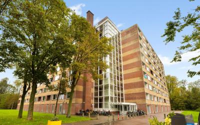 Fluitekruidweg 157