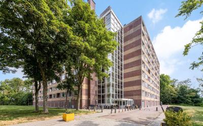 Fluitekruidweg 179
