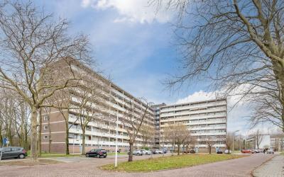 Pinksterbloemweg 109