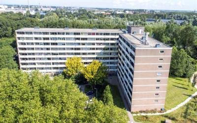 Pinksterbloemweg 211