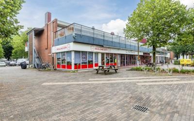 Zilverschoo. 17-A