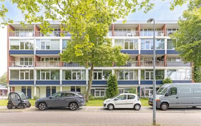 Zilverschoo. 6