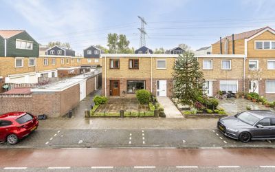 Veldbloemen. 30