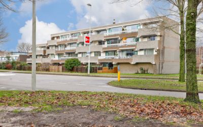 Bolksbeek 44
