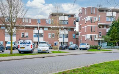 Hollandsch. 53