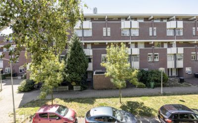 Hollandsch. 73