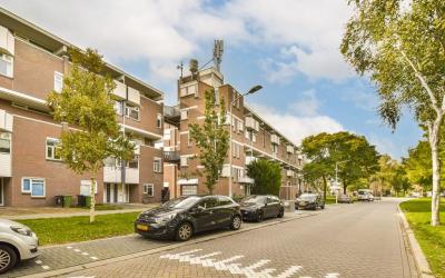 Hollandsch. 85