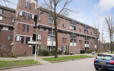 Hollandsch. 261