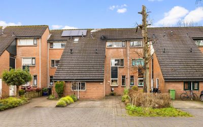 Hollandsch. 305