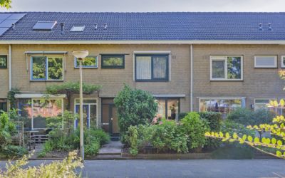 Rietschoot 254