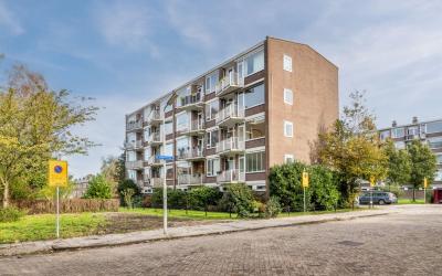 Reigerstraat 10