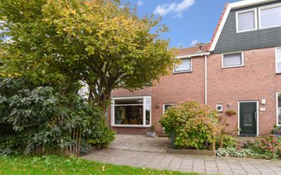 Orchisstraat 24