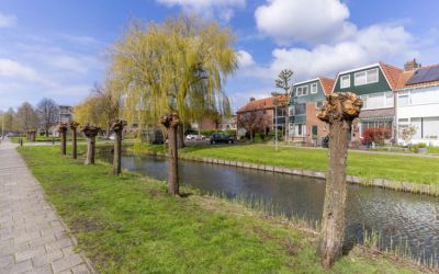 Orchisstraat 4