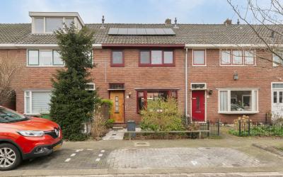 Tulpstraat 17
