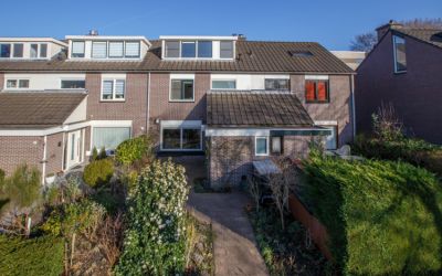 Rozeboom 19