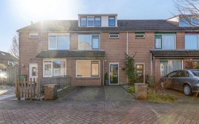 Voorvisser 3