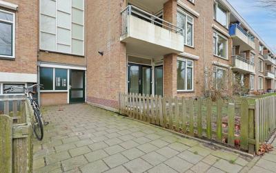 Plataanweg 38