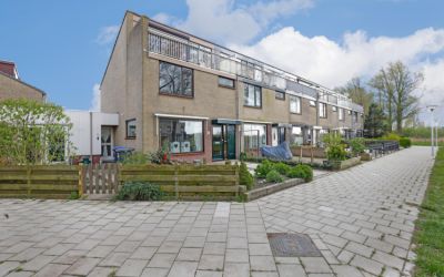 Harpstraat 8