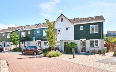 De Kersenbo. 16