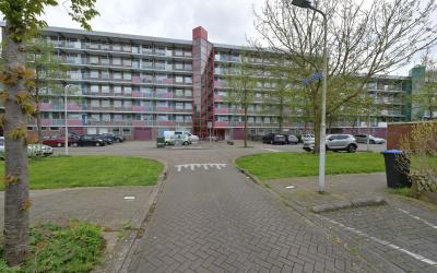 Kervelstraat 114