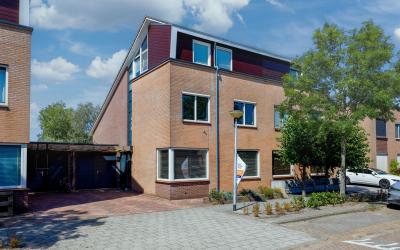 Wilgenhaant. 48