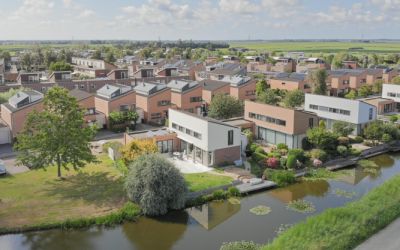 Bladhaantje 2