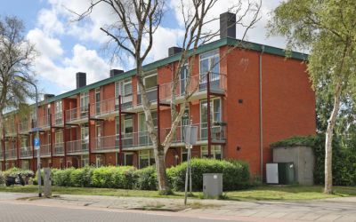 Zilverschoo. 38
