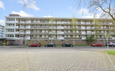 Zilverschoo. 96