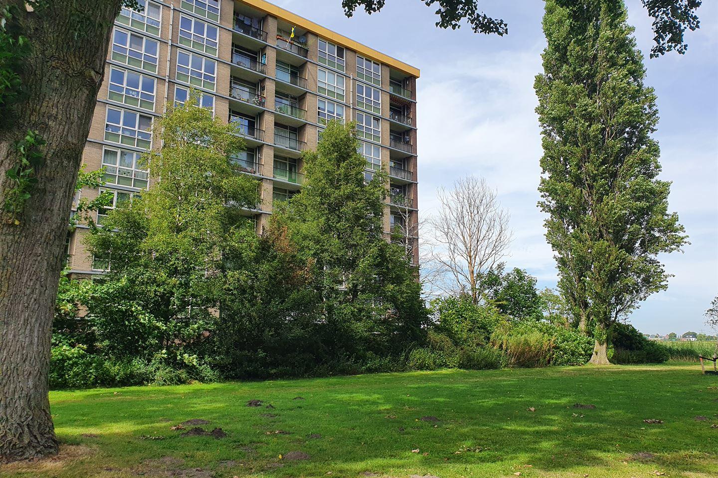 Appartement te koop: Lisdoddelaan 36, Krommenie
