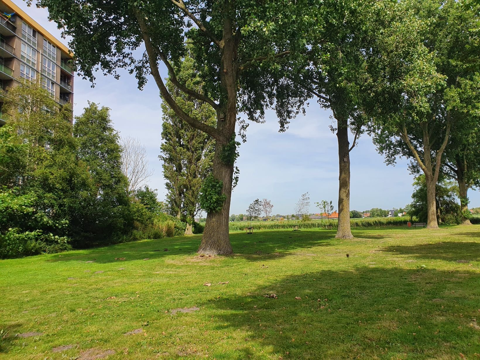 Appartement te koop: Lisdoddelaan 36, Krommenie